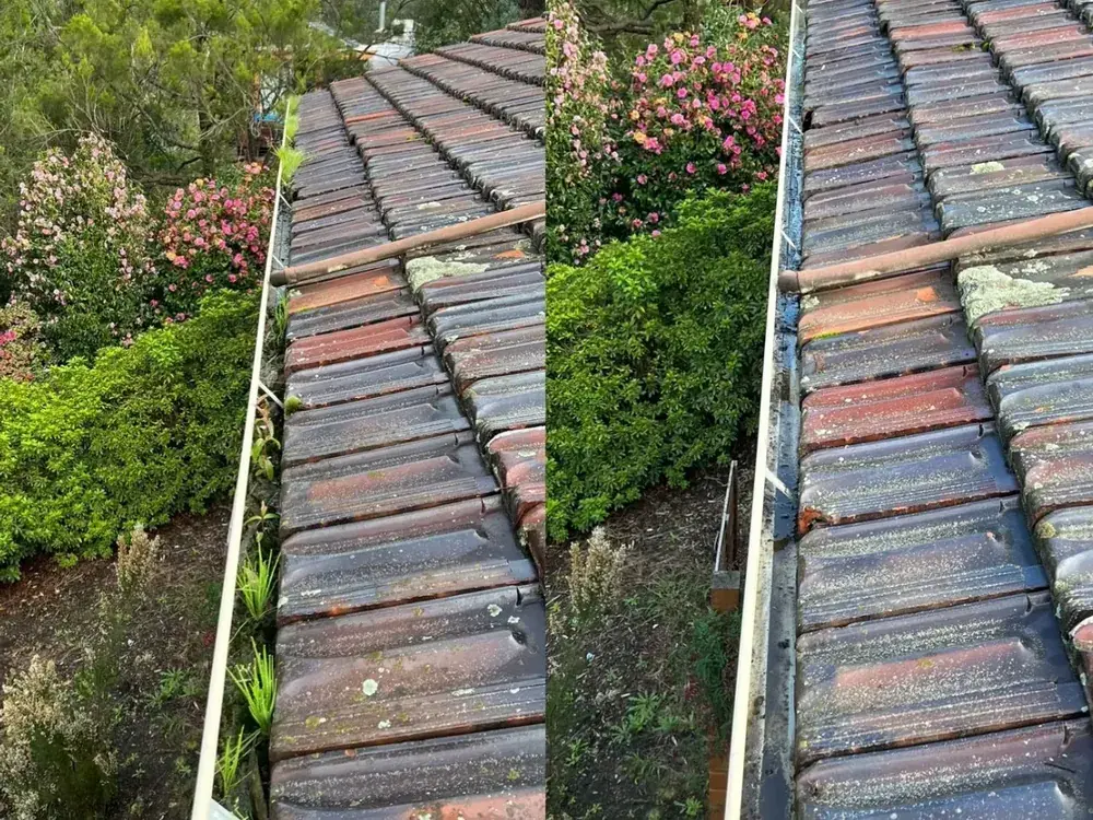 Tile roof before and after soft washing in Melbourne